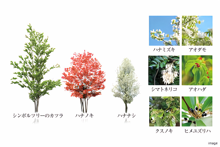 植栽例｜ザ・パークハウス横浜新子安フロント