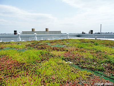 屋上緑化｜ザ・パークハウス横浜新子安フロント	